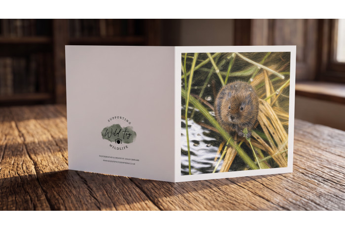 Water Vole Greeting Card